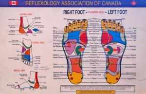FootChart